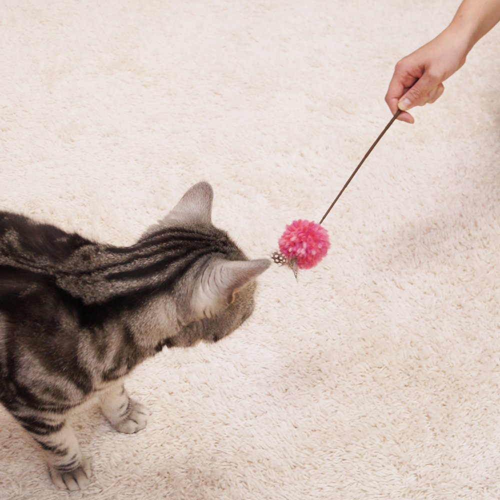 【Cat lovers】猫じゃらし ６点まとめて 天然素材 おまけ棒紐付 Cat lovers】猫じゃらし 6点まとめて 天然素材 おまけ棒紐付 71