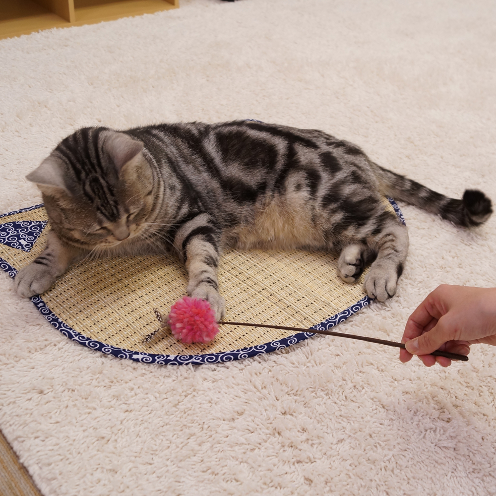キャティーマン 猫じゃらし 棒型 じゃれ猫 にゃウールぽんポン