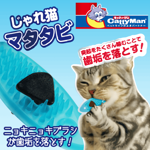 キャティーマン 猫 歯ブラシ デンタルケア おもちゃ またたび 猫グッズ