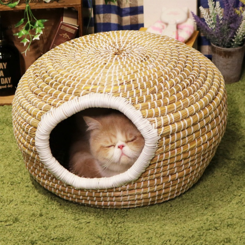 ネネット にゃー 猫 にゃんこ CAT トグル ジャケット 人気 レア ふんわり Amazon.co.jp: にゃんこ大戦争 BIGぬいぐるみ (金ネコ) : おもちゃ