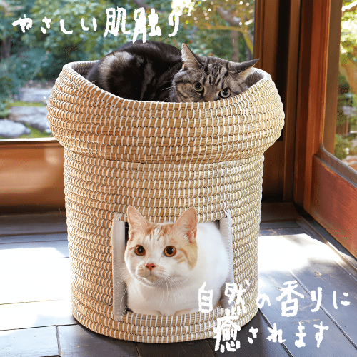 4976555879346-4.png