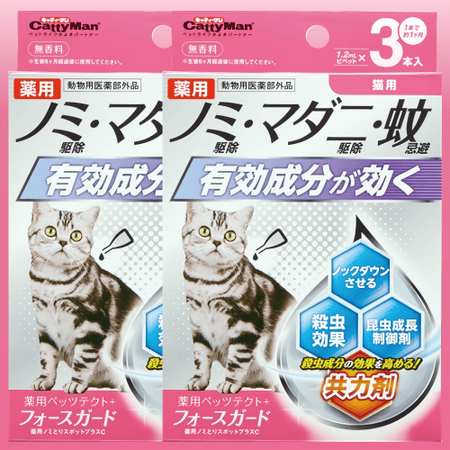 84　ミリキタニの猫　DVD付き 84 ミリキタニの猫 DVD付き
