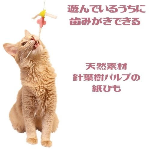 ペッツルート 猫じゃらし ワイヤー型 紙ひも びょんびょん デンタル
