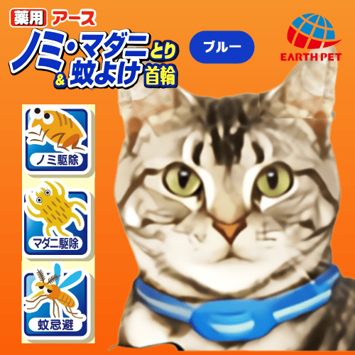 トラミねこ えみ on X: 