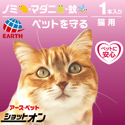 猫むしです 閲覧注意】猫だらけの家に侵入してきたカミキリムシの悲惨な末路
