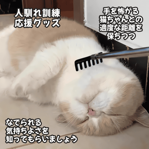 猫 ブラシ 孫の手 伸縮 伸びる マッサージ器 くし コーム 猫グッズ