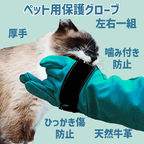 猫科の動物が好きな方へ　革手袋 Aliglove002.png