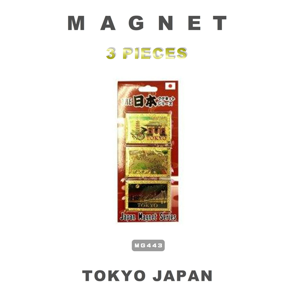 ▷▷ MAGFACT3枚、マグネット Amazon.co.jp: 方眼目盛・粘着付 マグネットシート 方眼ライン付