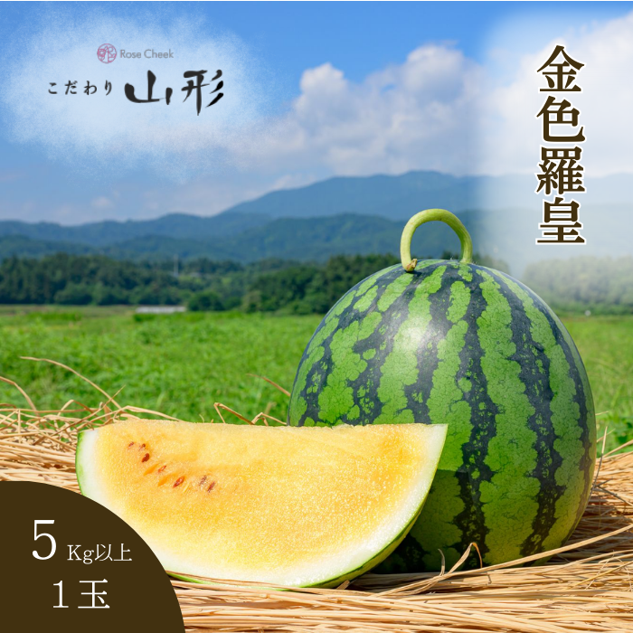 Suica スイカ　けん玉　レア　山形日和 Suica スイカ けん玉 レア 山形日和 - メルカリ
