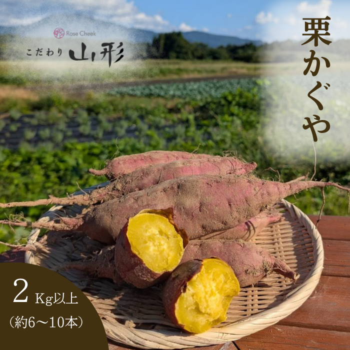 2026年10月上旬以降順次発送】さつまいも 栗かぐや 山形県産 村山 2kg
