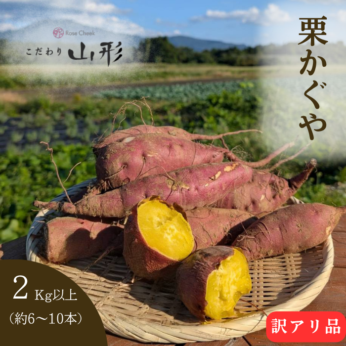 2026年10月上旬以降順次発送】さつまいも 栗かぐや 山形県産 村山 2kg