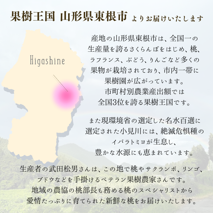 桃 陽夏妃 山形県産 東根 3L 3kg 秀品 白桃 もも ギフト 家庭用 8月