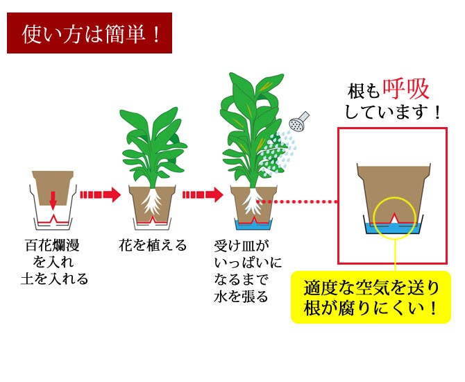 【保証書付】 112144315-2.jpg アガベ