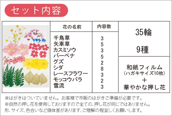 はがき用押し花キット