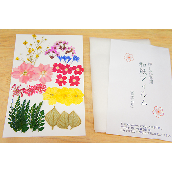 押し花 はがき 年賀状 はがき用押し花キット おしばな ハガキ 花