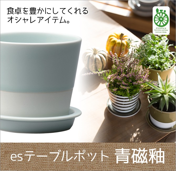 ♪昔の青磁植木鉢　丸型　無キズ　こめです。 Demi Voo 植木鉢 ポット 鉢 植木鉢 ポット インテリア 観葉植物 es