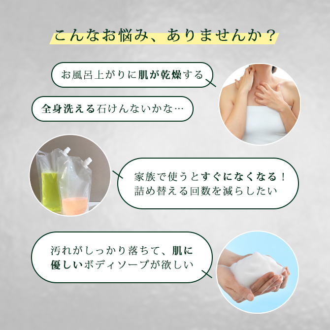 フタバ化学 ボディソープ アロエ 全身 リーブルアロエ 全身洗浄