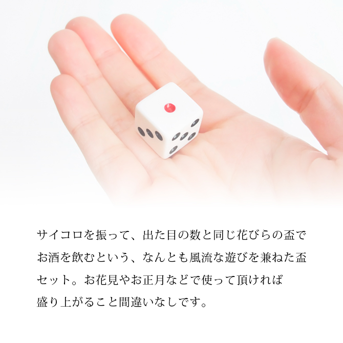 日本酒 冷酒 酒 正月 越前漆器 漆器 高級 日本製 桜蒔絵 宴遊盃 黒内朱
