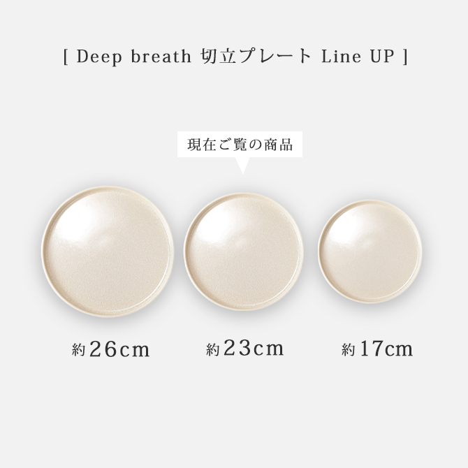 切立プレート　6枚セット　本日セール 食器 皿 プレート Deep breath 23cm 切立プレート 大皿 丸 : こだわり