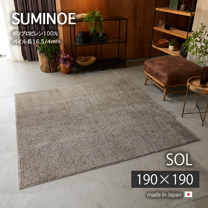 スミノエ マット カーペット 敷物 ラグ ソル22AW 190×190 ソル 22AW