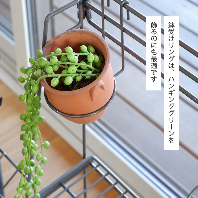 ラック 棚 飾り棚 ワイヤーボタニカルラック WW-WBR収納 ボタニカル