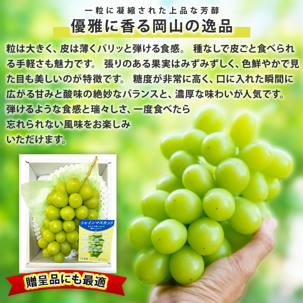 岡山県産 高級 五果苑シャインマスカット 1房 700g以上 ぶどう 贈り物