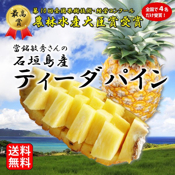 【タダオ】ゴールドブレンド　105g×12個 ネスカフェ ゴールドブレンド エコ&システムパック 105g」の人気