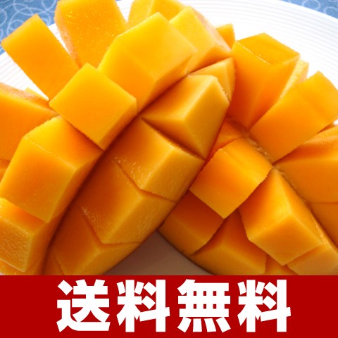 ミニマンゴー　2㎏ ミニマンゴー 【 2kg 】 | Pay ID
