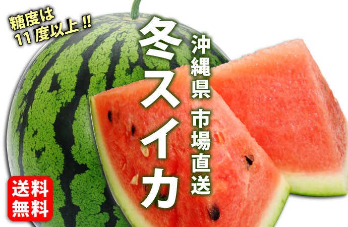 市場直送 沖縄県産冬スイカ 秀品 1個入 2,5〜3kg 全国どこでも送料無料 1月発送 :205049:こだわり農家・こだわり食材沖縄 - 通販 -  Yahoo!ショッピング