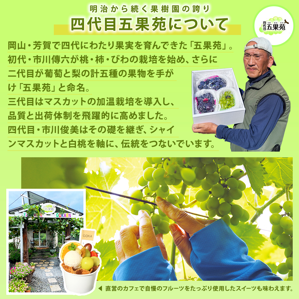 奇跡の越冬ぶどう シャインマスカット 岡山県産 高級 五果苑 1房 700g