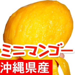沖縄県産ミニマンゴー1kg 8~20個入 送料無料 ご家庭用 ギフト対応不可
