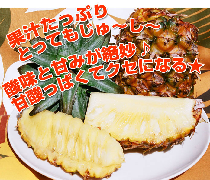 石垣島産パイナップル ハワイ種 Lサイズ 送料無料 １玉１．３ｋｇ〜１．６ｋｇ ３玉入り 安い割引 Lサイズ