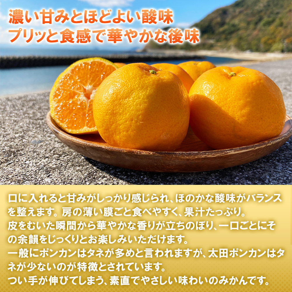送料無料 山口県周防大島産 片岡農園 太田ポンカン 5kg 10kg ぽんかん