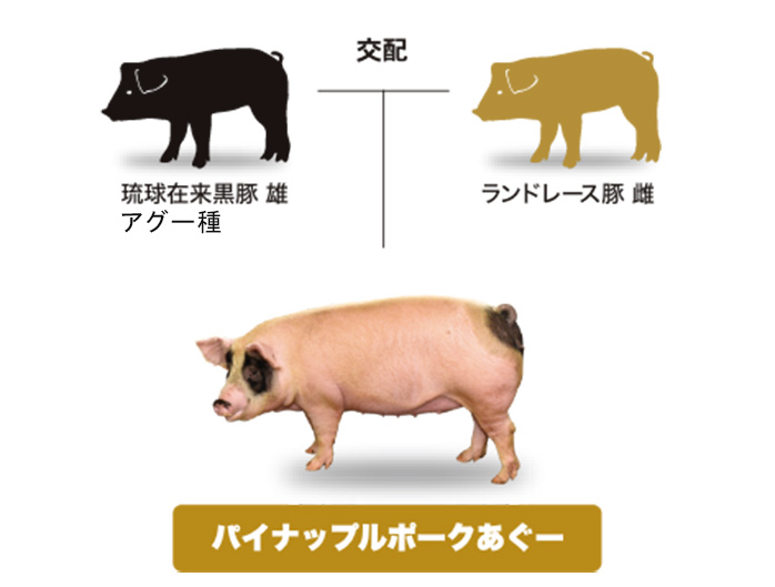 パイナップルポークあぐー