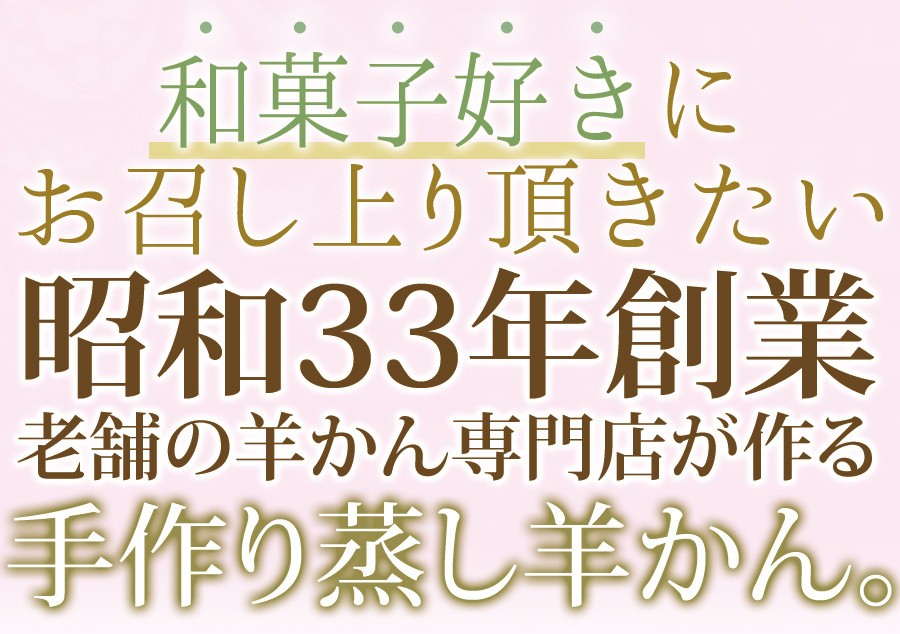 アウトレット☆送料無料 羊かん4種食べ比べセット 4種類×2本セット（送料無料） 公式ショップ