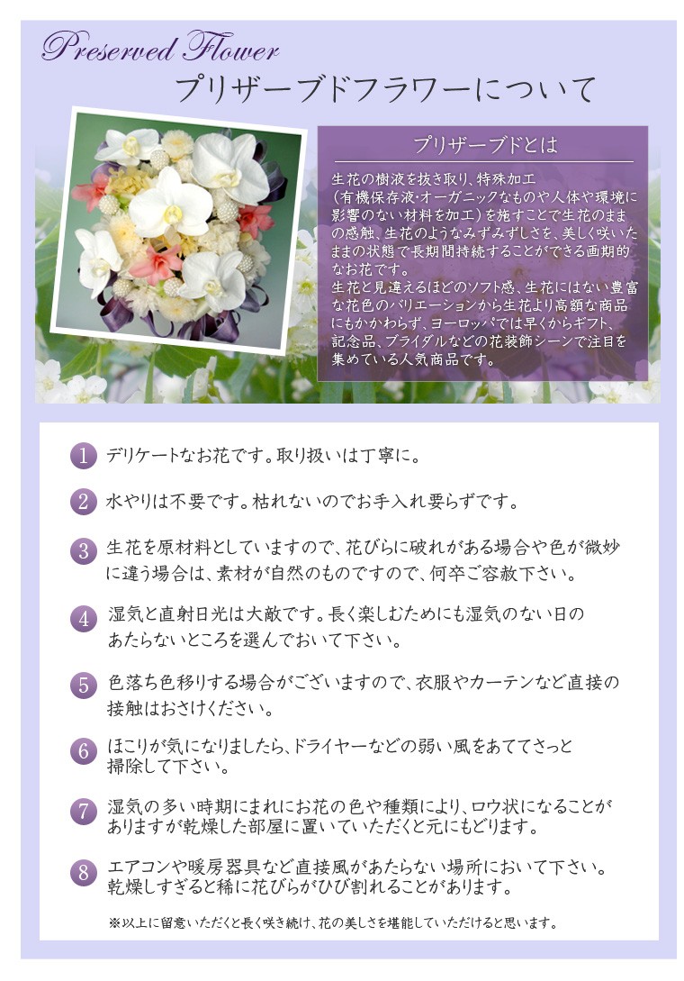 オールプリザーブドの3色マム仏花　選べる3色 お供え/ご仏前/法事/命日/お彼岸/お盆などに