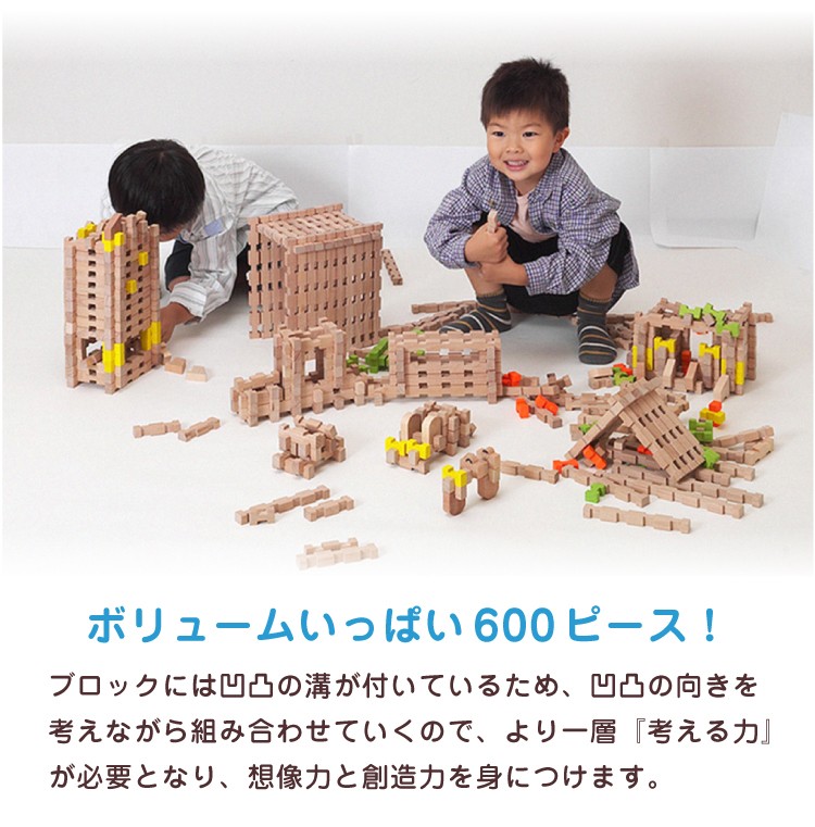 お値下げ！！新品・未使用のユークリッドブロック ユークリッドブロック 600ピース 収納木箱ケース付 知育玩具 木製