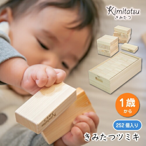 知育玩具 木のおもちゃ きみたつツミキ 252個入り 1才から 遊び 木製