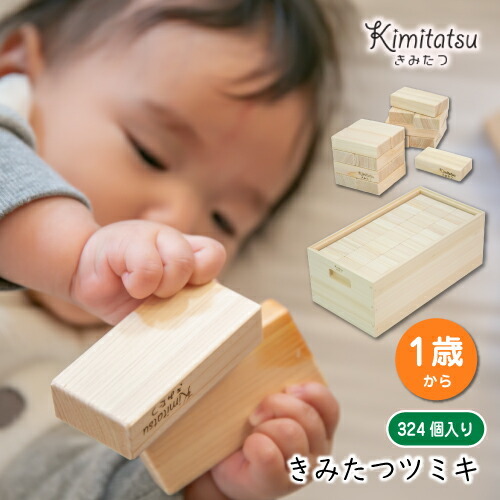 知育玩具 木のおもちゃ きみたつツミキ 252個入り 1才から 遊び 木製