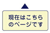 ふんわり やわらか 肌触りのやさしい キルトパッド 赤ちゃん ベビー