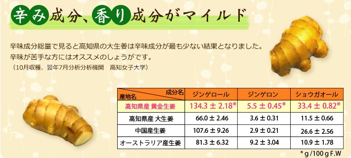 1458円 激安ブランド 高知産 大生姜 4kg 送料無料 業務用 高知県産