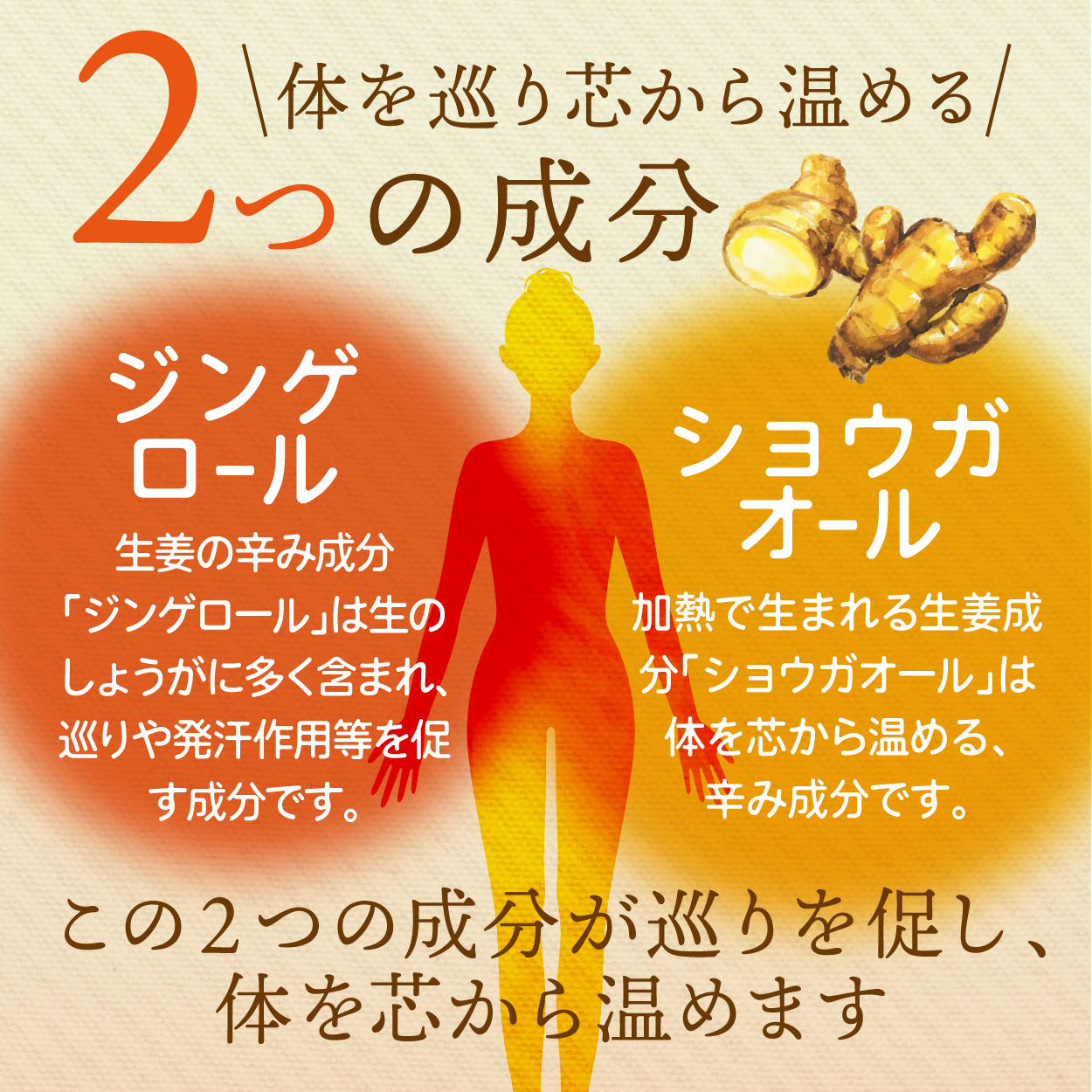 ジンジャーパウダー