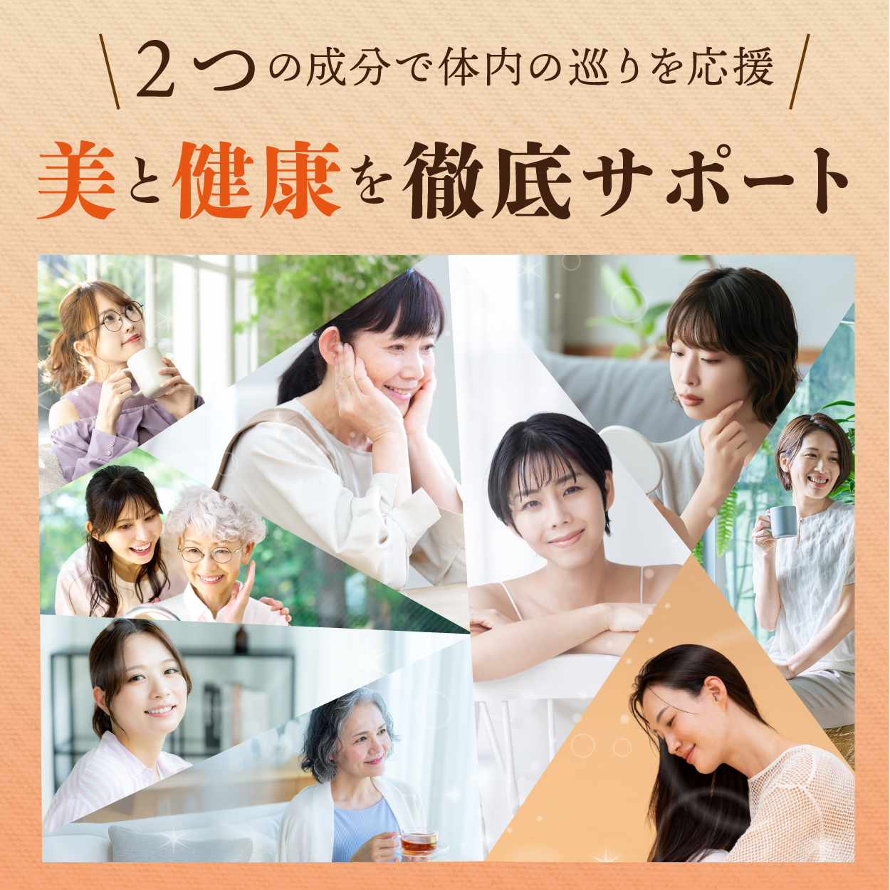 ジンジャーパウダー