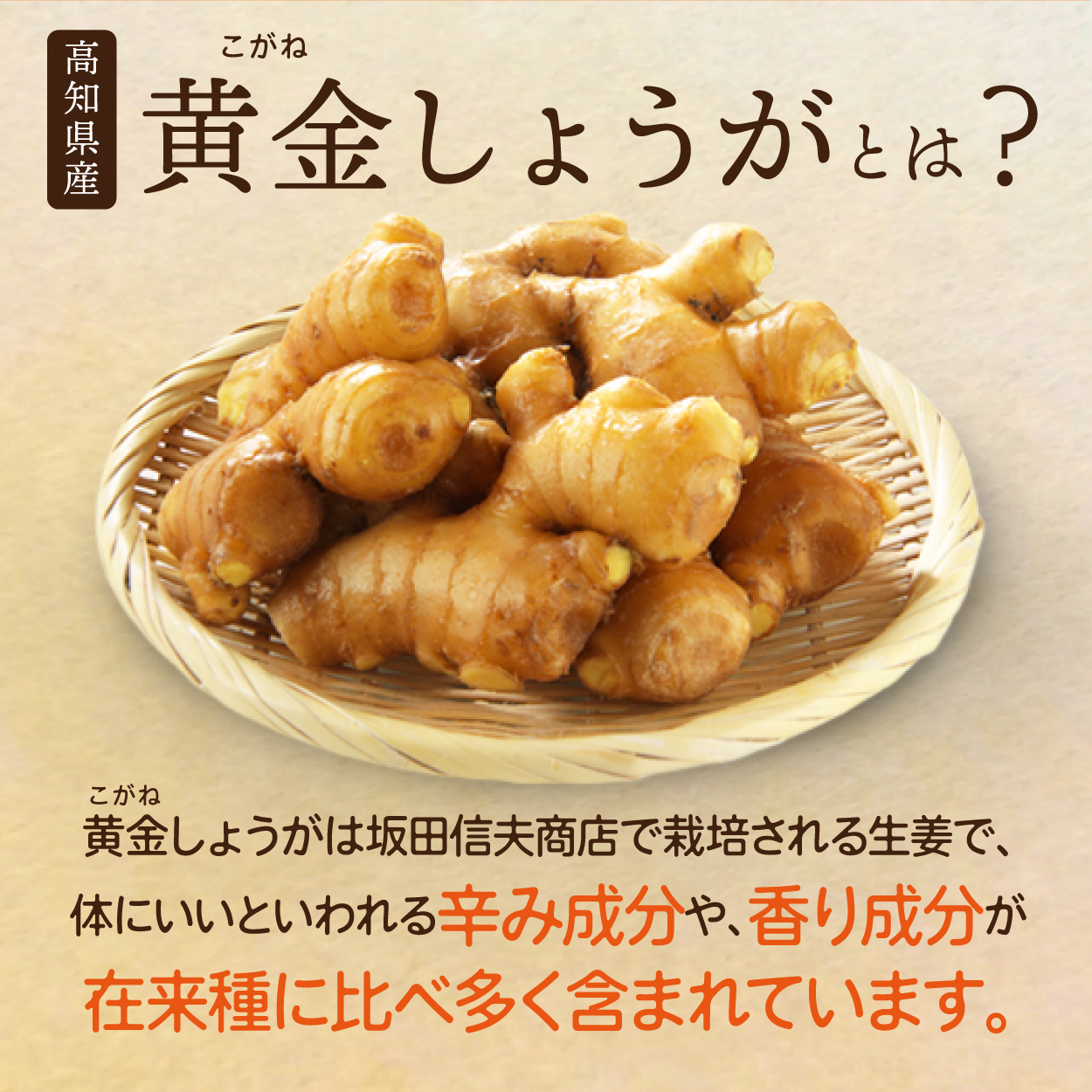 ジンジャーパウダー