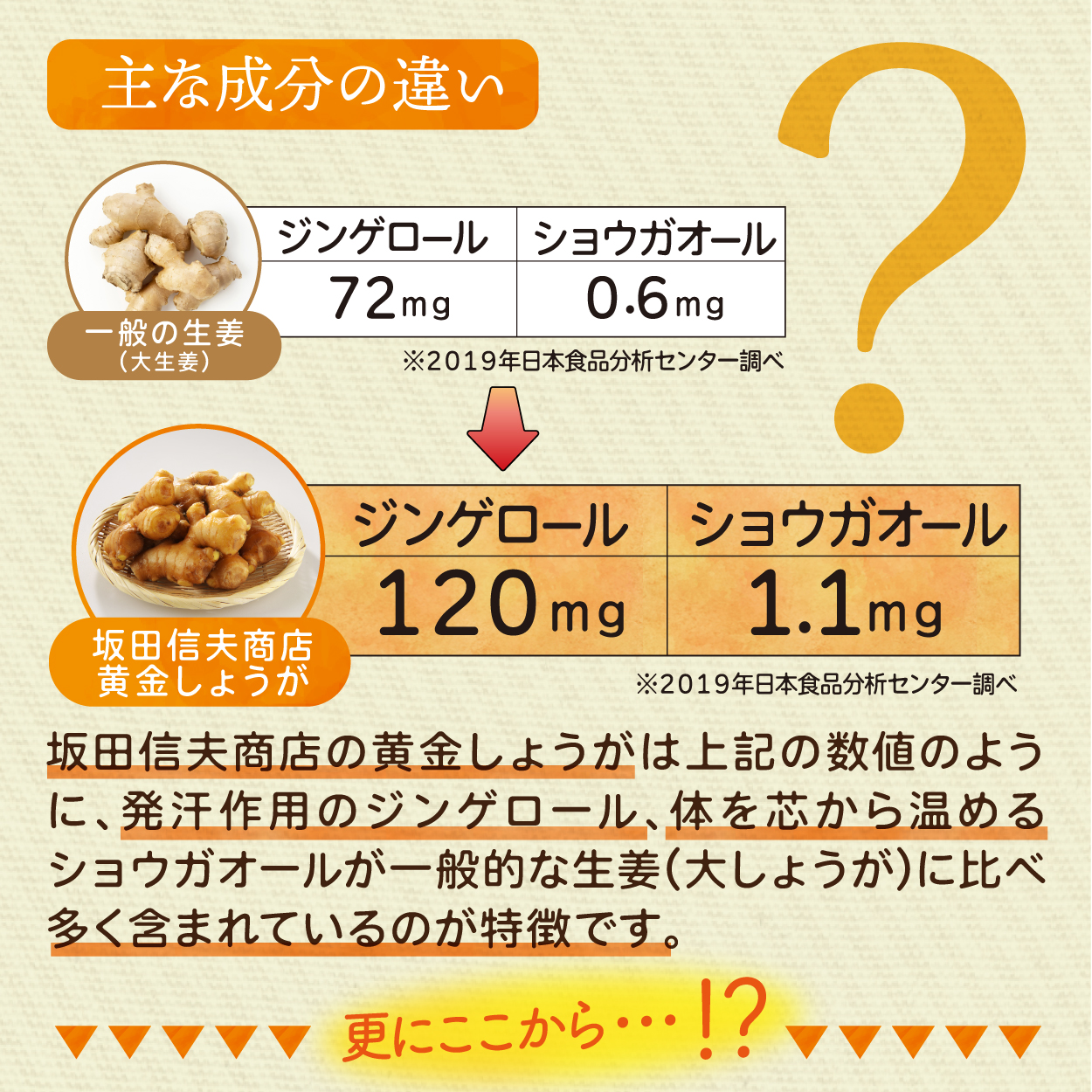 ジンジャーパウダー