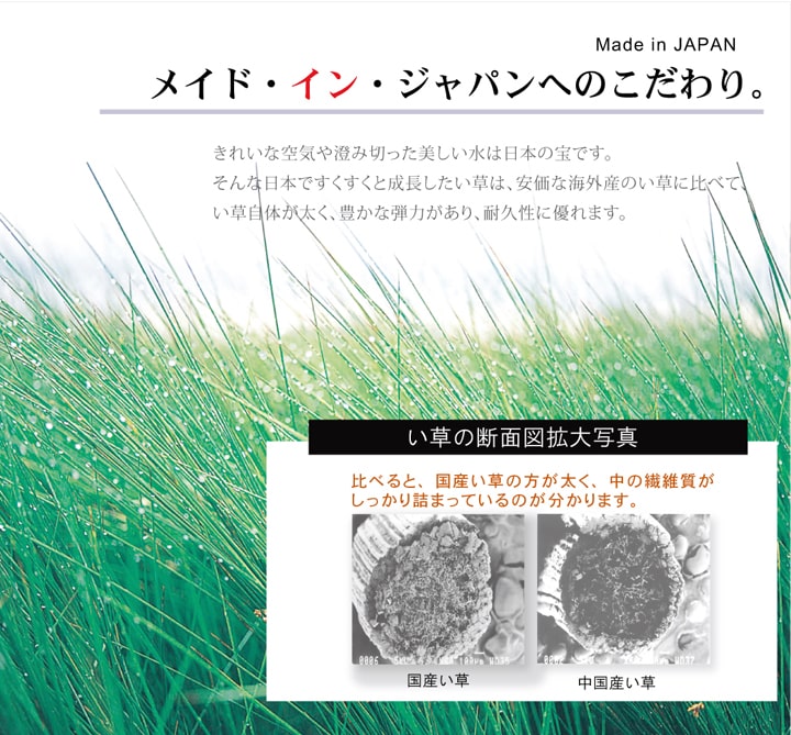 DX組子 い草 い草ラグ カーペット 国産 日本製 組子柄 和モダン 和室 リビング 滑り止め お手入れ簡単 夏 抗菌防臭 調湿 消臭 空気清浄 汚れにくい 送料無料 関連画像2