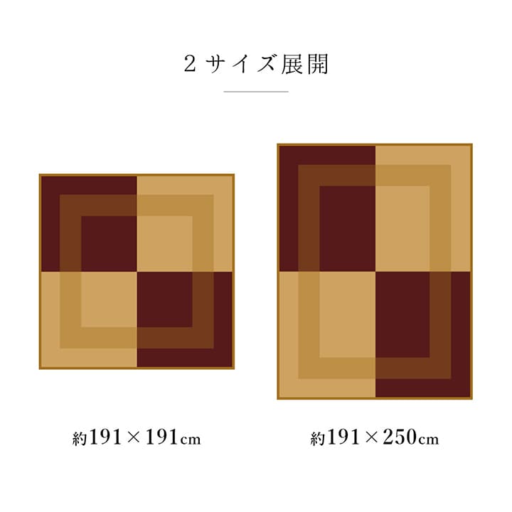 DXモーニング2 い草 い草ラグ カーペット 国産 日本製 モダン 和室 リビング 滑り止め お手入れ簡単 夏 抗菌防臭 調湿 消臭 空気清浄 汚れにくい 送料無料_13