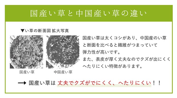DXモーニング2 い草 い草ラグ カーペット 国産 日本製 モダン 和室 リビング 滑り止め お手入れ簡単 夏 抗菌防臭 調湿 消臭 空気清浄 汚れにくい 送料無料_8