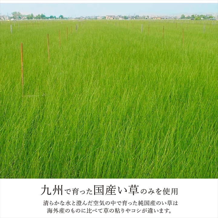DXノア い草 い草ラグ カーペット 国産 日本製 防炎 市松柄 ナチュラル 和室 リビング 滑り止め お手入れ簡単 夏 送料無料