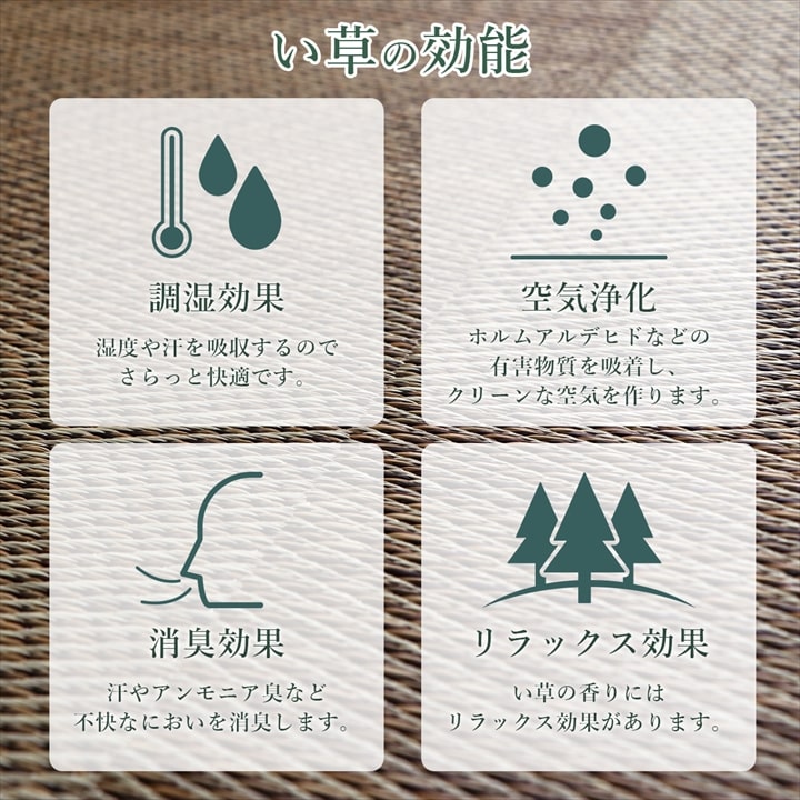 DXノア い草 い草ラグ カーペット 国産 日本製 防炎 市松柄 ナチュラル 和室 リビング 滑り止め お手入れ簡単 夏 送料無料